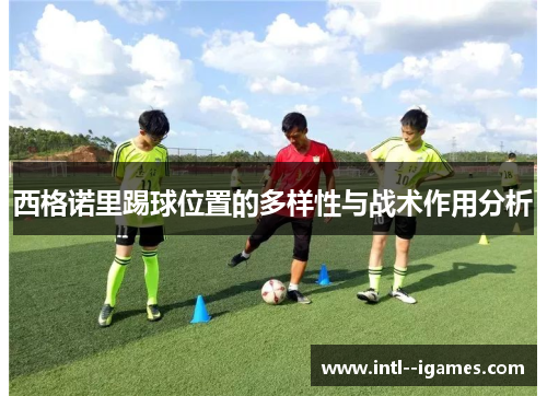 西格诺里踢球位置的多样性与战术作用分析